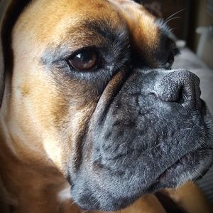 Meet your Posher, Kathy